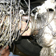 Illustration for article titled Jeep Runs Over Mattress, Develops Shimmy From Mass Of Wires, Cords Attached To Drivetrain